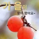 남낙현-커피향 같은 사랑, 보라빛노을-한잔의 커피 / 치매 이미지
