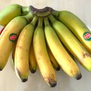 웰빙홈푸드 이미지