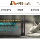 이리온 이미지