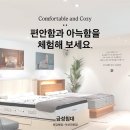 김해대학 | 금성침대 동김해점 쇼룸 방문 후기 ! 다양한 매트리스 체험의 생생한 기록