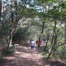 [광주 광산구]광주여대~동자봉(154m)~어등산(290m)~동자봉대~광주여대 다녀오기(2020/10/2/금 오전) 이미지