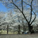 삼문강변로 이미지