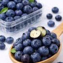 체리짐 | 정원의상점 체리·블루베리 후기 5가지｜포장부터 신선도까지 직접 확인