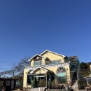 단구1리 | 경주 강동 새미담 후기 : 분위기 좋고 맛있는 경주브런치카페 추천해요!