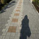 아이디 사이언스 | [ LG CNS AI Genius ] 14기 발대식 후기