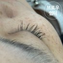일반 연장, 리터치 없이 한 달 유지력 진짜 가능? _ 브로우 쉼터