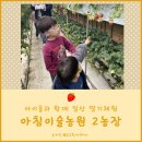 일산 딸기따기체험/ 딸기농장 아침이슬농원 2농장/주차팁 후기