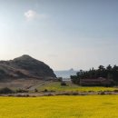 사계남로216번길 이미지