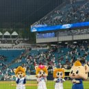 대구 삼성 라이온즈 파크 3루 익사이팅 관람 후기 및 가격, 첫 벤치클리어링, 김치말이국수 추천