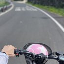 남양수산 이미지