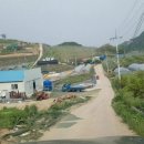 바람이 좋은 저녁 이미지