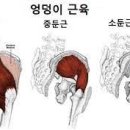 벨라테스앤피티 이미지