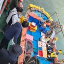 부산출발 홍도&흑산도 버스여행 후기