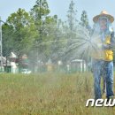 하서면사무소 이미지