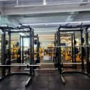 몸이 예뻐짐 이미지