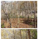 웅이네농장 이미지