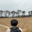 구룡포도서관 이미지