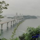 까치와 산토리나 이미지