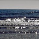 파랑청과 이미지