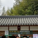 죽녹원 봉황루 | 담양 죽녹원 여행 | 대나무 축제 기간 다녀온 후기