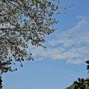 보훈농장 이미지