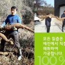달임식품 이미지