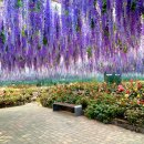 가평가평1084 이미지