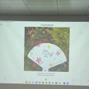 중문청소년문화의집 | [중문청소년문화의집]나만의 캘리그라피 여름 부채 만들기