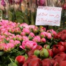 경기꽃화훼 이미지