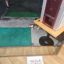 황토생삼겹 | ♥광주 비아 "황토생삼겹" 내돈내산 솔직후기♥