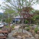 이지원카 이미지