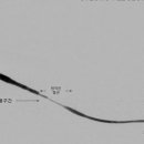 생명선의원 이미지