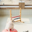 털로덮인친구들(동탄호수공원점) 이미지