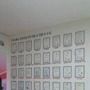 조양디엠