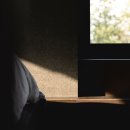 스테이오묘 이미지