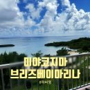 베이브리즈 이미지