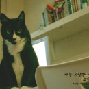 까치세탁 이미지