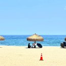 낙산바다이야기 이미지