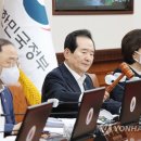 정세균 카카오 검색결과