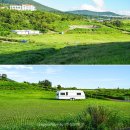 최영장군 위령굿 | 제주 새별오름 근처 맛집 애월 광해 제주도 오름 등반 후 식사