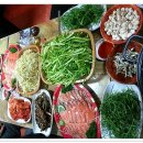 오렌지호프 이미지