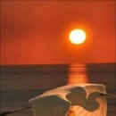 산본마취통증의학과의원 이미지