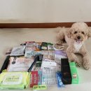 멍멍아놀자 | 2026 펫페어 마곡 코엑스 마곡 방문 후기! 선착순 방문선물+아이리스 슬리커 브러쉬 구매