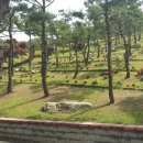 용인수목장