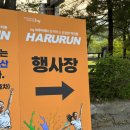 하루런 마라톤 운영스태프 알바 후기