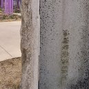 어느봄날 | 남산 벚꽃 나들이 Ⅰ 목멱산방 점심 그리고 남산도서관 북크닉··· 기억의 터에서 멈춘 어느 봄날의 기록