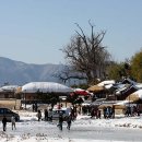 천원세상 이미지