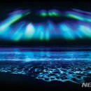 스타사파리(star safari) 이미지