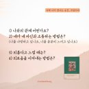 쓰담쓰다