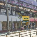 바나타이거부산